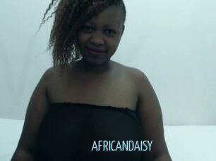 AFRICANDAISY