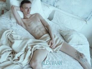 ALEX_VAAN
