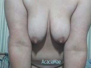 AcaciaMae