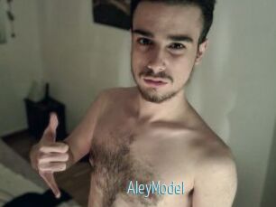 AleyModel