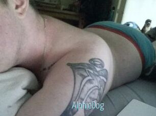 Alphie_Dog