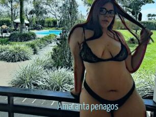 Amaranta_penagos