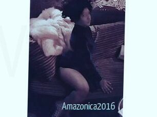 Amazonica2016