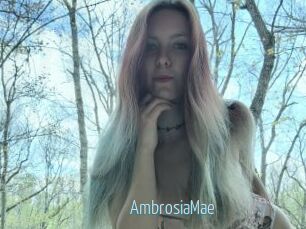 AmbrosiaMae