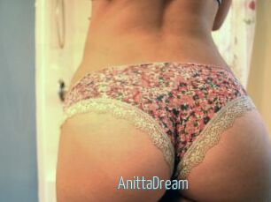 AnittaDream