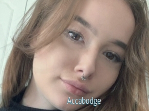 Accabodge