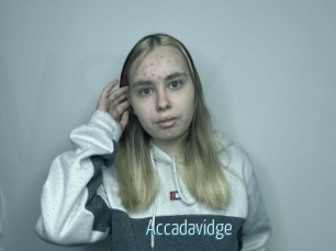 Accadavidge