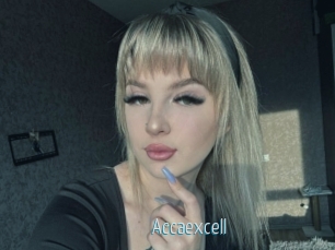 Accaexcell