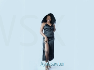 Agnesawuor