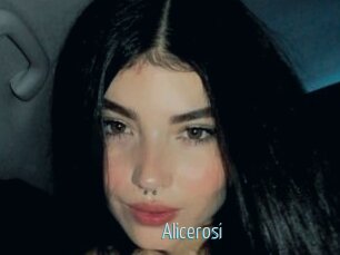 Alicerosi