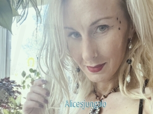 Alicesjungalo