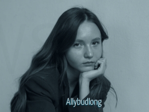 Allybudlong