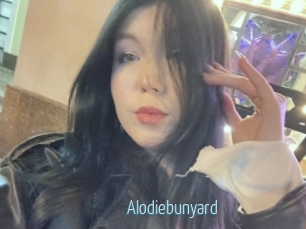 Alodiebunyard