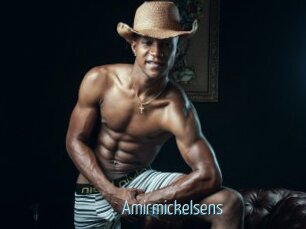 Amirmickelsens