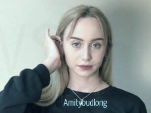 Amitybudlong