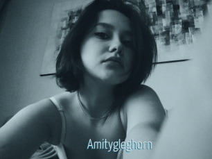 Amitygleghorn