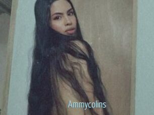 Ammycolins