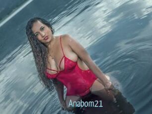 Anabom21