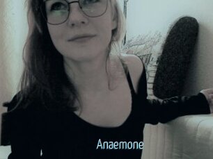 Anaemone