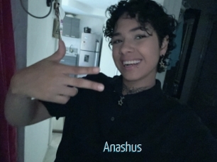 Anashus