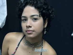 Anashus