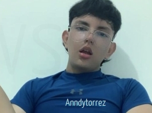 Anndytorrez