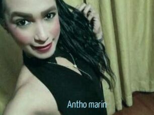 Antho_marin