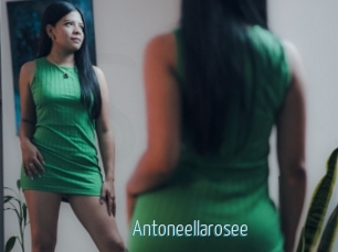 Antoneellarosee