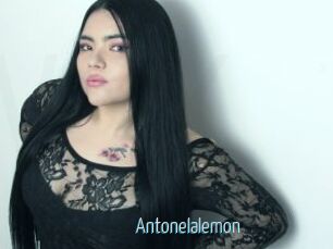 Antonelalemon