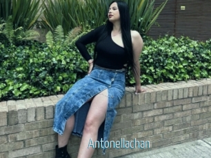 Antonellachan