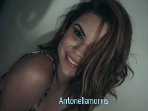 Antonellamorris