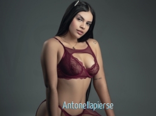 Antonellapierse