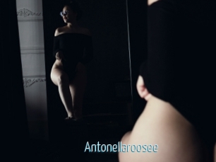 Antonellaroosee