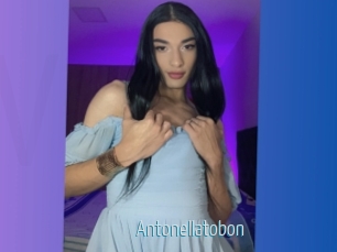 Antonellatobon