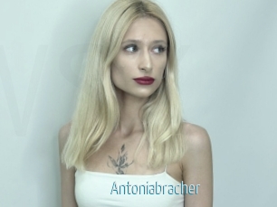 Antoniabracher