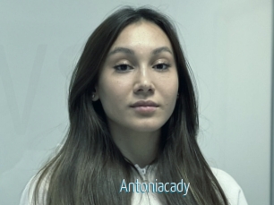 Antoniacady