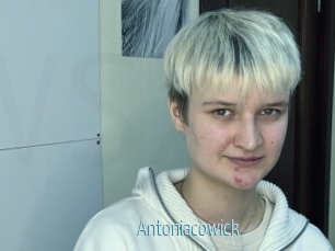 Antoniacowick