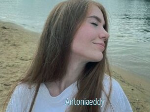 Antoniaeddy