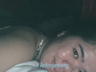 Antoniarieken