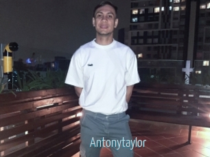 Antonytaylor