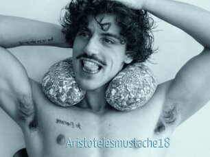 Aristotelesmustache18