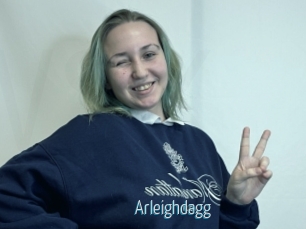 Arleighdagg