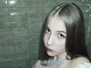 Audreybagge