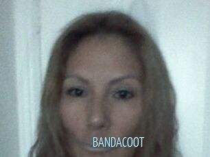 BANDACOOT