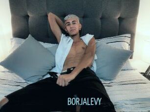 BORJALEVY