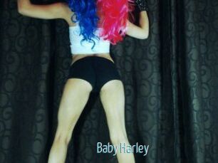 Baby_Harley