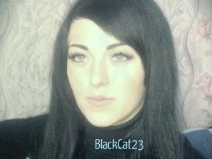 BlackCat23