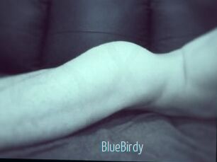 BlueBirdy