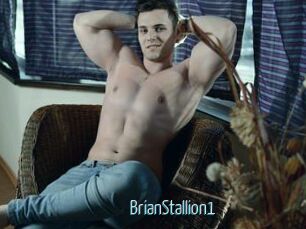 BrianStallion1