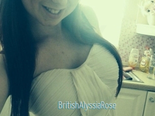 BritishAlyssiaRose